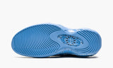 Air Zoom Flight 95 Supreme University Blue