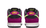 nike-dunk-low-sb-pro-acg-terra-red-plum-bq6817-501-sneakers-heat-3